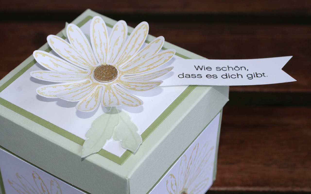 Gänseblümchen-Explosionsbox Deckel